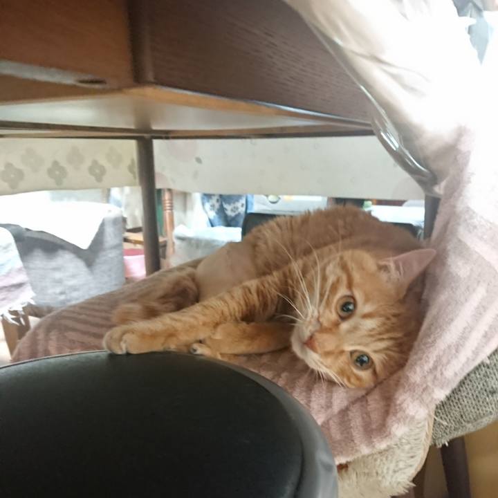 86976616 e0f1 4394 9c07 81550a26c7c7 1654558177567