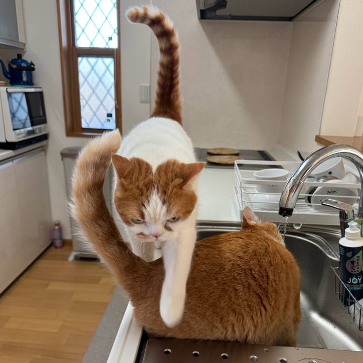 8697ac60 5622 4192 8c50 0620f93265ab 1768360292983