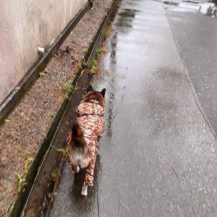 8697db16 e482 4583 a1ad 2f23336481fc 1741128380689