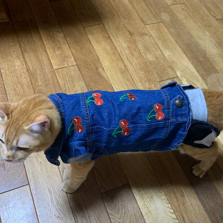 8697e26d eb33 4a03 9e79 56f03126067f 1662124412065