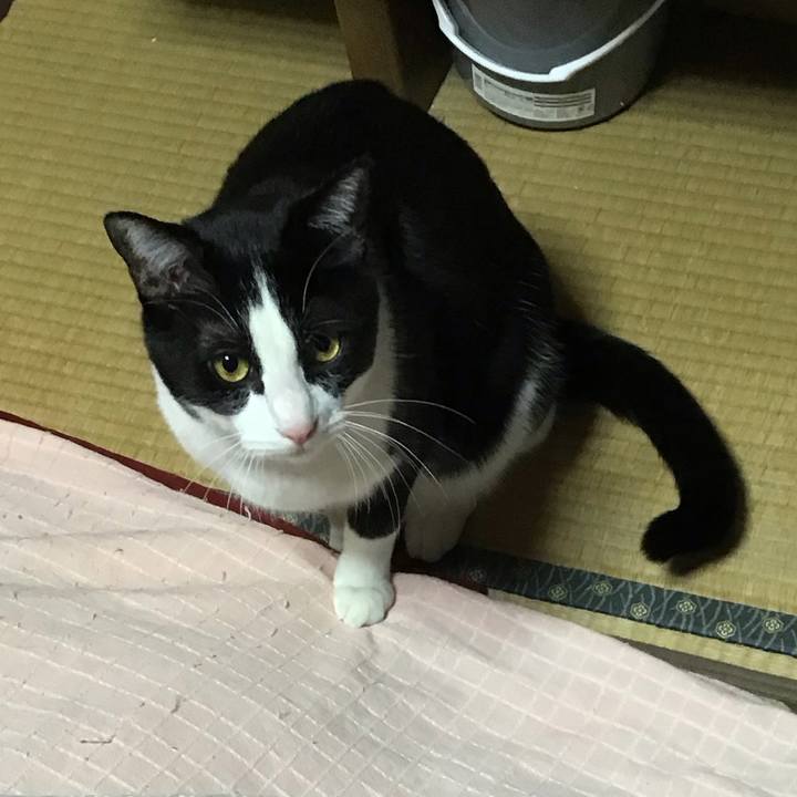 8698655c 4660 4c2b a81b 7f1cd54966f0 1678358946652