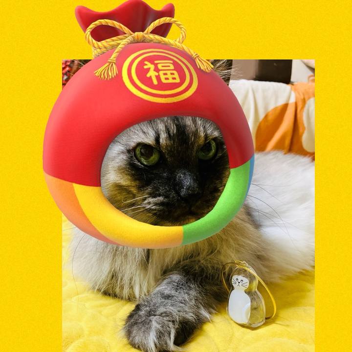 8698771c 047b 4505 9560 98d4196a6ec4 1758154825435