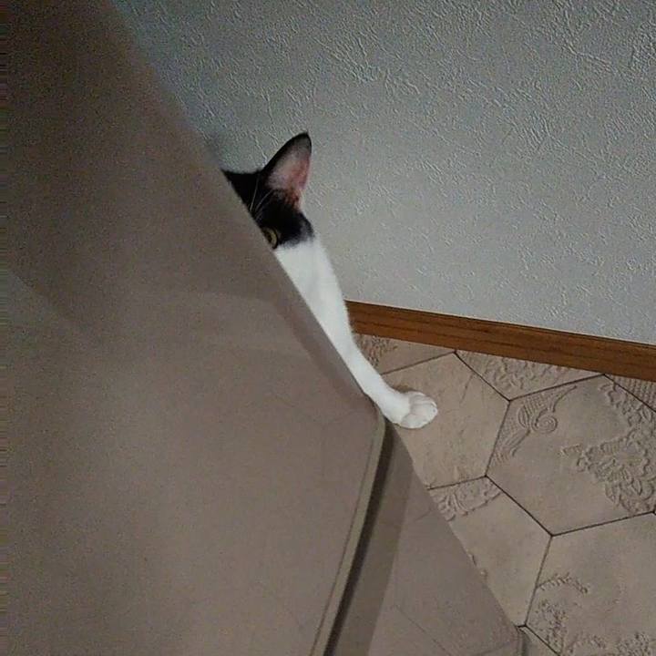 869883fe f509 43d6 8268 83f96804a440 1560514988799