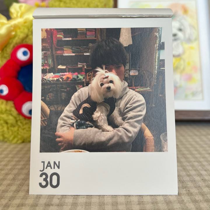 86989ebf b8c0 499c 8645 15c545a4f39e 1769825061175