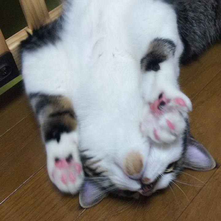 8698a391 f0ac 4bad a3db c259543ea632 1624361601099