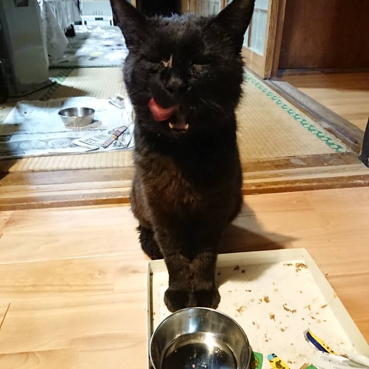 8698e435 1957 4310 bd23 acb7bde133df 1623864556464