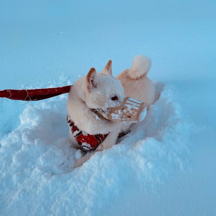 8698fdda 6ed5 4a24 b678 0eb0c6be983d 1767652333095