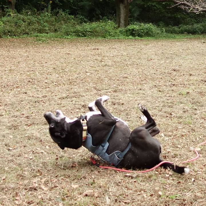 86996935 ca20 450e a190 39898b103c32 1729641861438