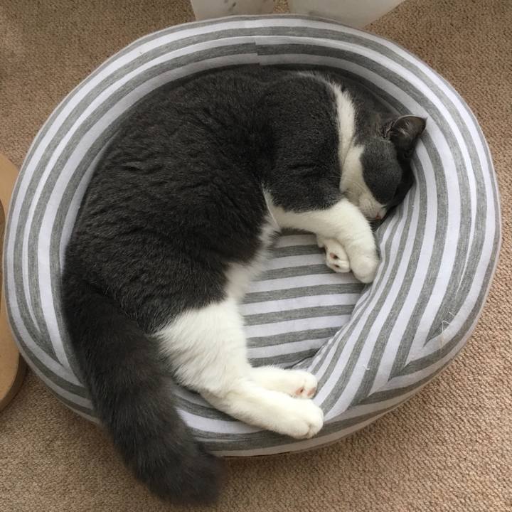 8699891c bbbe 4b1c b7a7 6b755de945b8 1509628824692