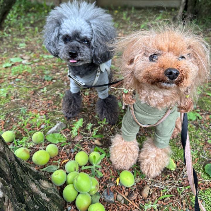 8699da11 4f4a 4db4 a55e 40c26429ef31 1748642883181