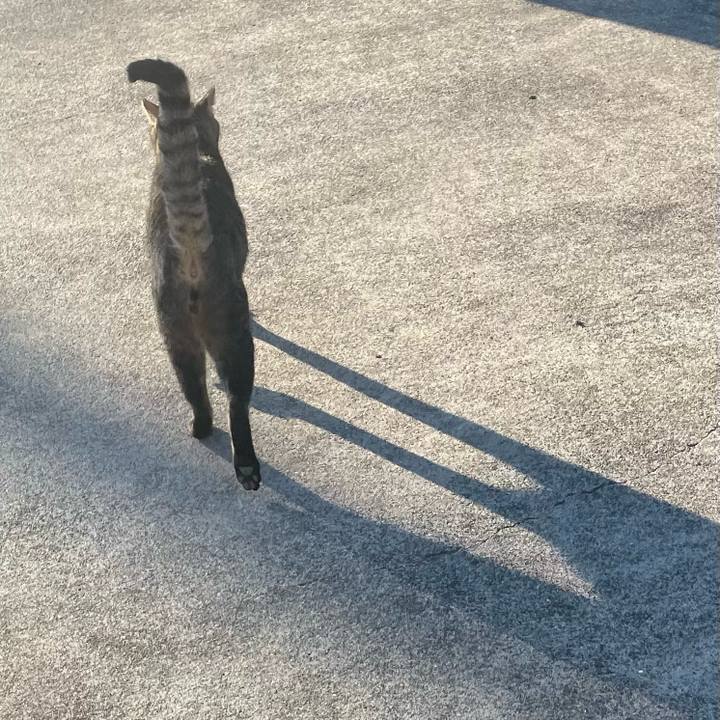 869aa111 2caf 458a a2c8 11ad0cc58cfa 1739313939113