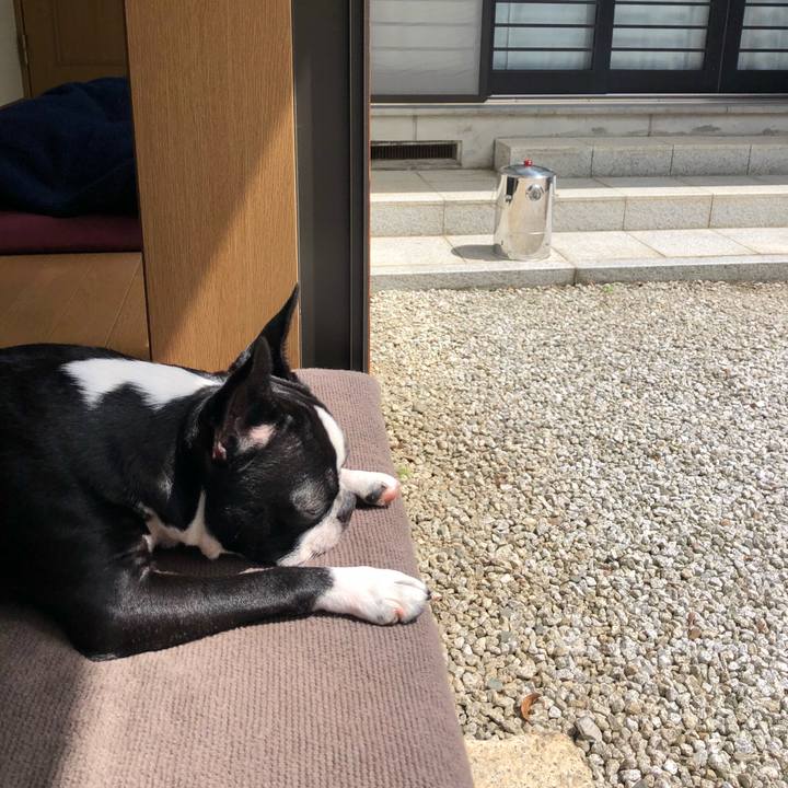 869ac55c 11cf 4fed a200 04fbd4797a15 1529111323192