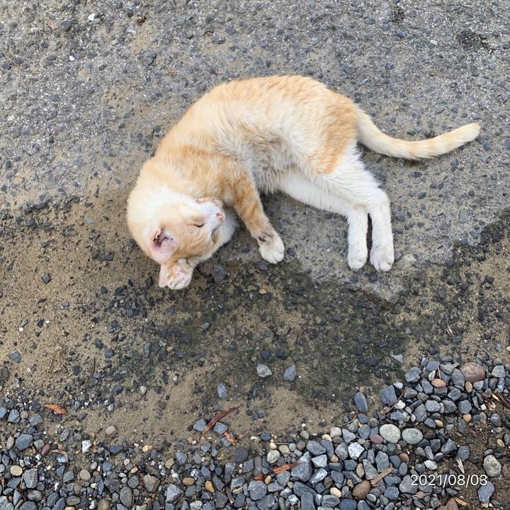 869ae293 1072 4c37 9845 c0055eceb38a 1627940784885