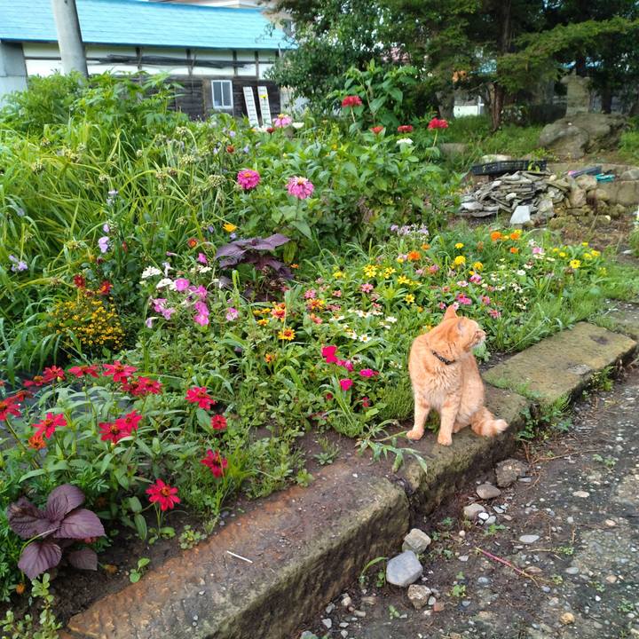 869b0085 7f2a 4d67 bbc7 8035b3cf021a 1689808204558