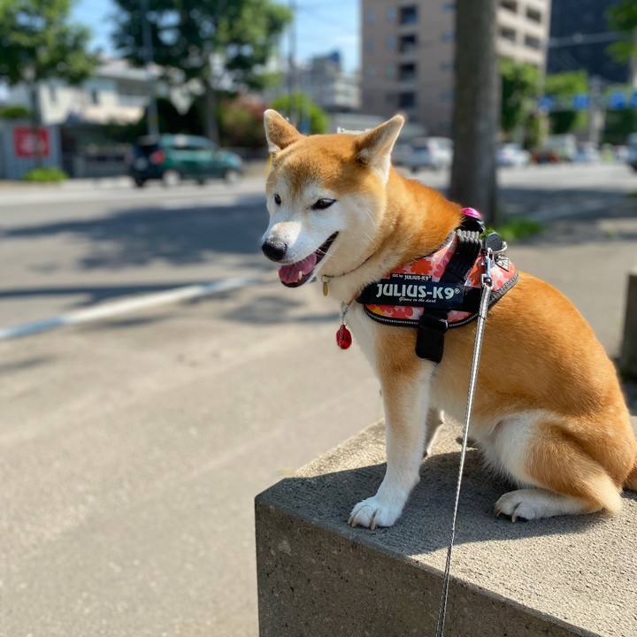 869b1e6a 262a 4621 be44 b0022dac9914 1623807215173