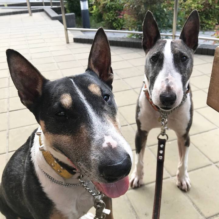 869b6cc6 9e4a 4ea4 8599 a65010a0503f 1527931135308