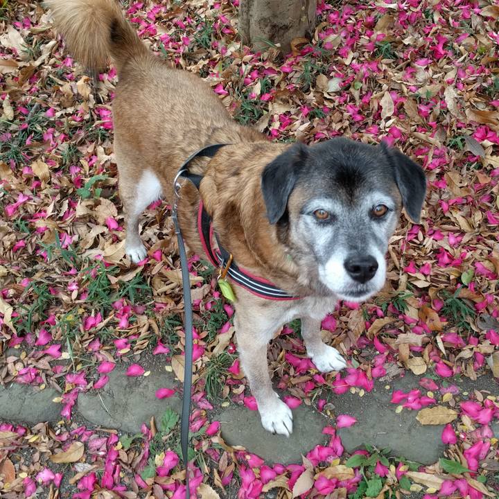 869b8882 3426 48be bb67 2209c8af36f7 1544234184948