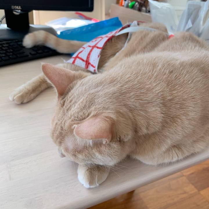 869b9248 8a62 4319 b65f 4fde82caab17 1585093641162