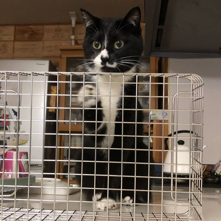 869b99da 5751 4d22 8ff7 9b6921f34c06 1555991610177