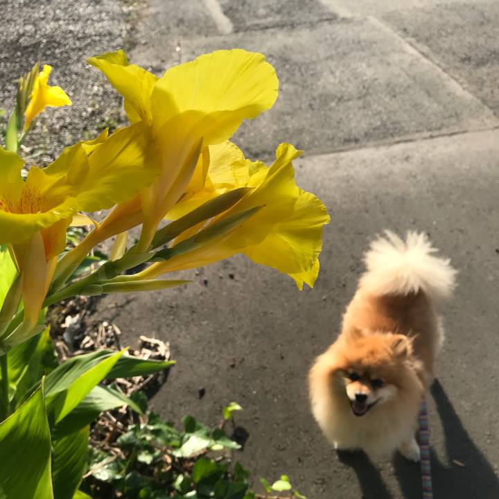 869b9c3f 37ed 45e9 83e7 75af903bb2bd 1531524721935