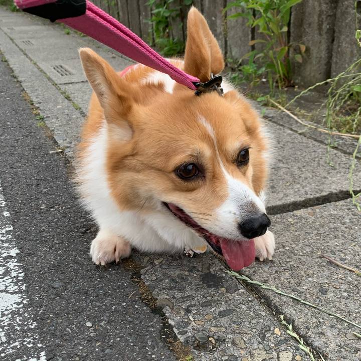 869ba536 4f9e 4d3f 8e3c be072aba8b61 1591134340405