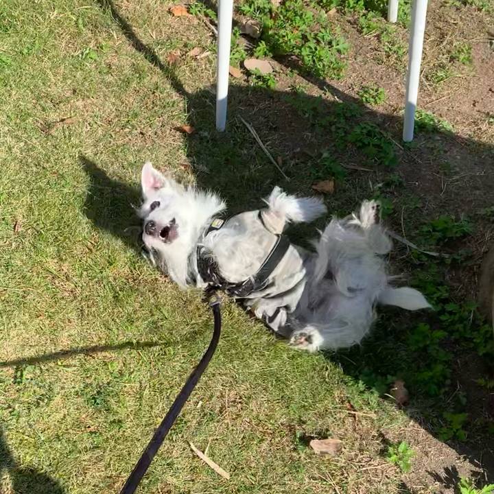 869ba542 b1cd 47cb b1b8 e0564a869c6f 1667436568048