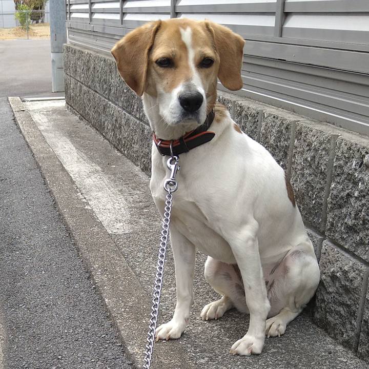 869bbe90 d03d 40c7 a7c4 83a0708c2b00 1620717820735