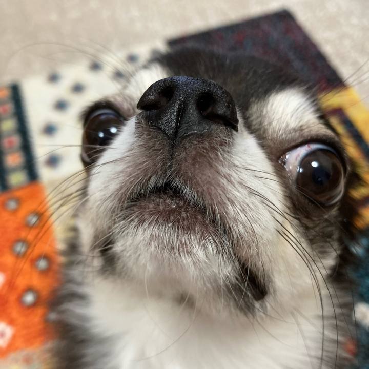 869c1370 1883 47ab 8e1c 06b9b8b06939 1699679932369