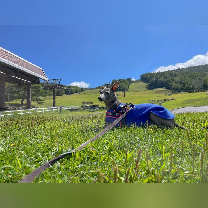 869c3eaa c741 434d a046 f81a25c2c8b6 1758448450378