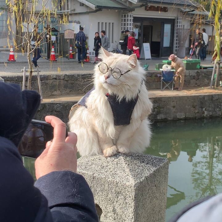 869c6b3f a1f7 4b7f a215 70382c2aa49c 1579569207370