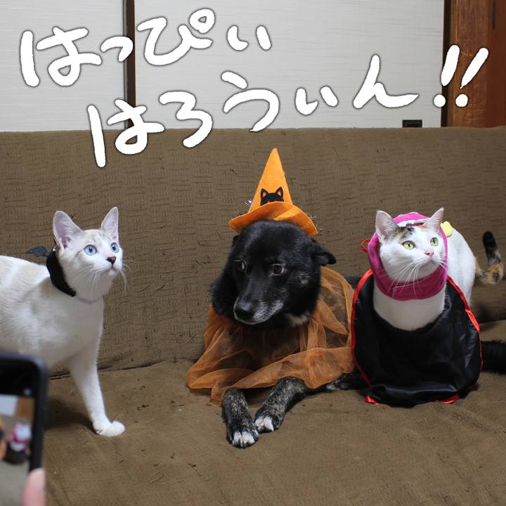 869c7375 8ca7 425c 919b 08e68189cfa3 1604155945184