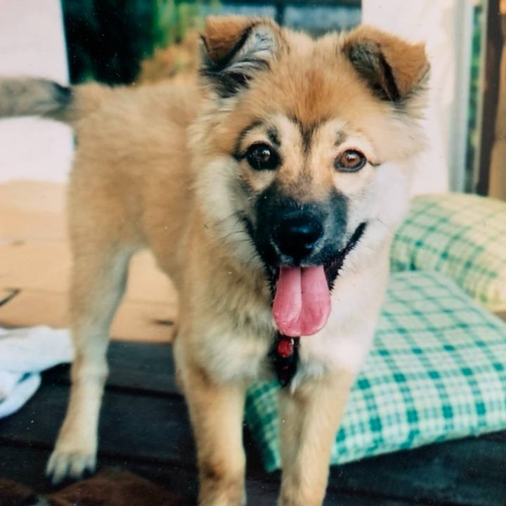 869cb645 7363 42fb a06e 98465ab6c142 1586193050529