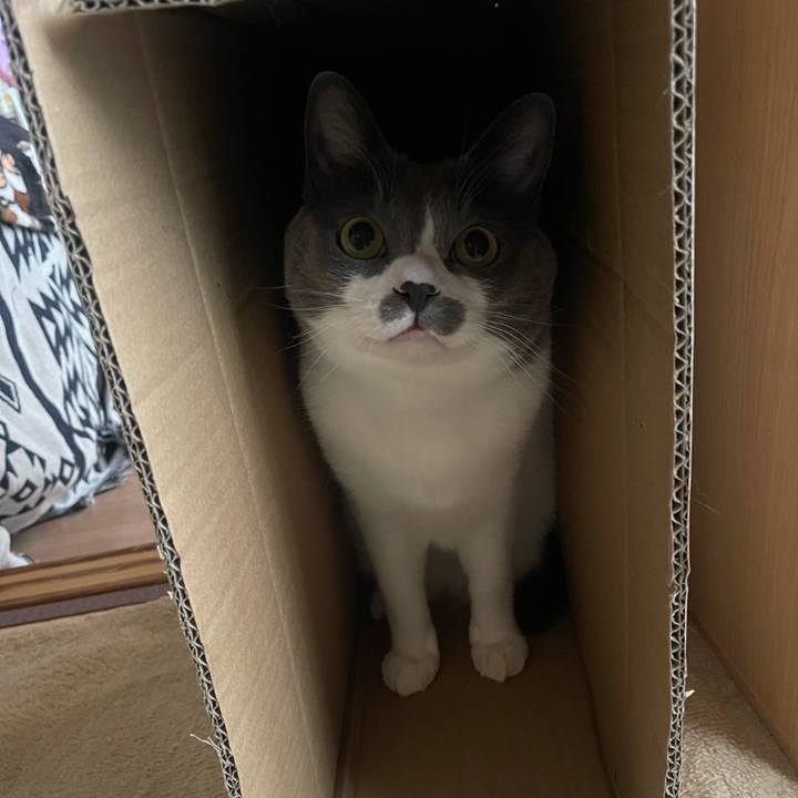 869cca49 fbbe 4d97 9053 ac3322c4cc43 1737704867515