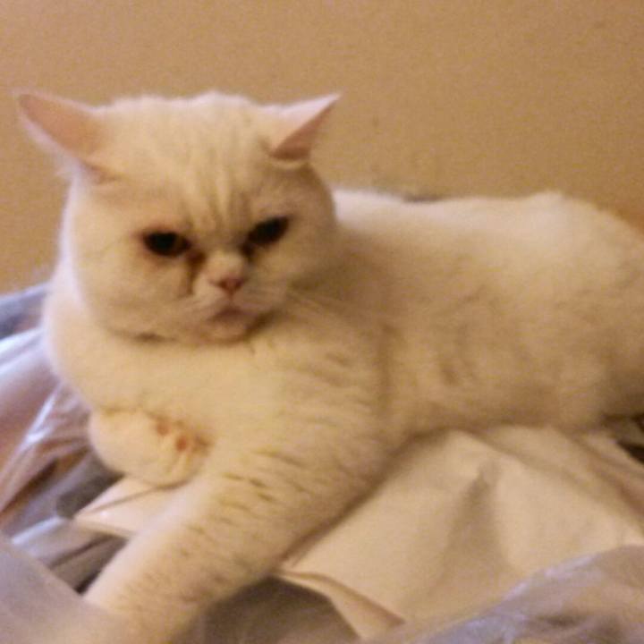 869ccb17 094c 44a6 a886 5a15cd9fee24 1538086807546