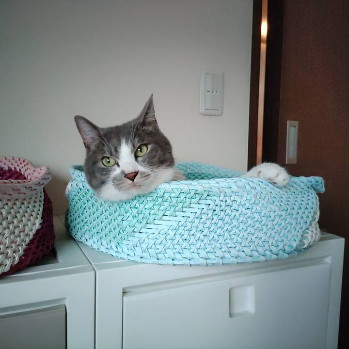 869d0e76 ed18 436a a886 5a25c83a0a4c 1723985138322