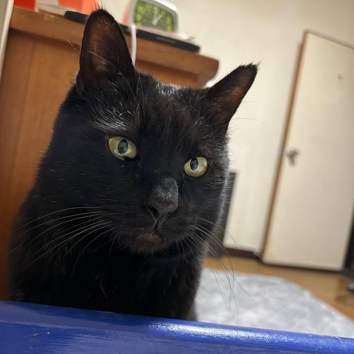 869d15d8 0124 4297 84fc c077776f1d13 1741076985595