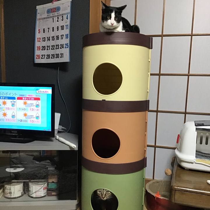 869d4675 cad6 4f39 aec4 78d0aea41235 1638525531312