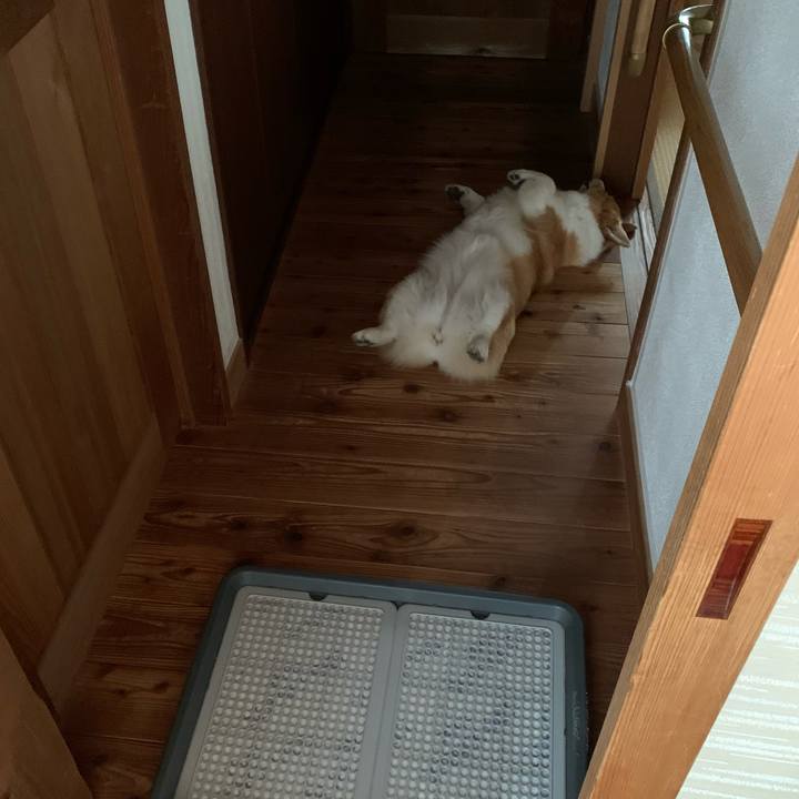 869d4712 7a98 4a4a 97cf 804eaded4149 1621897958640