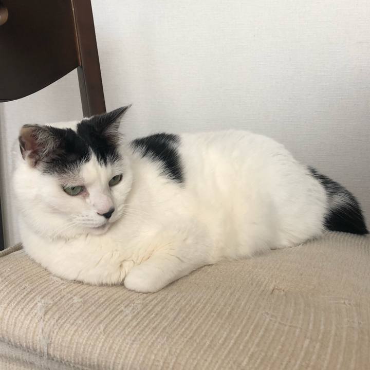 869d4c71 d091 46ef 9380 b20110c585aa 1583969777630