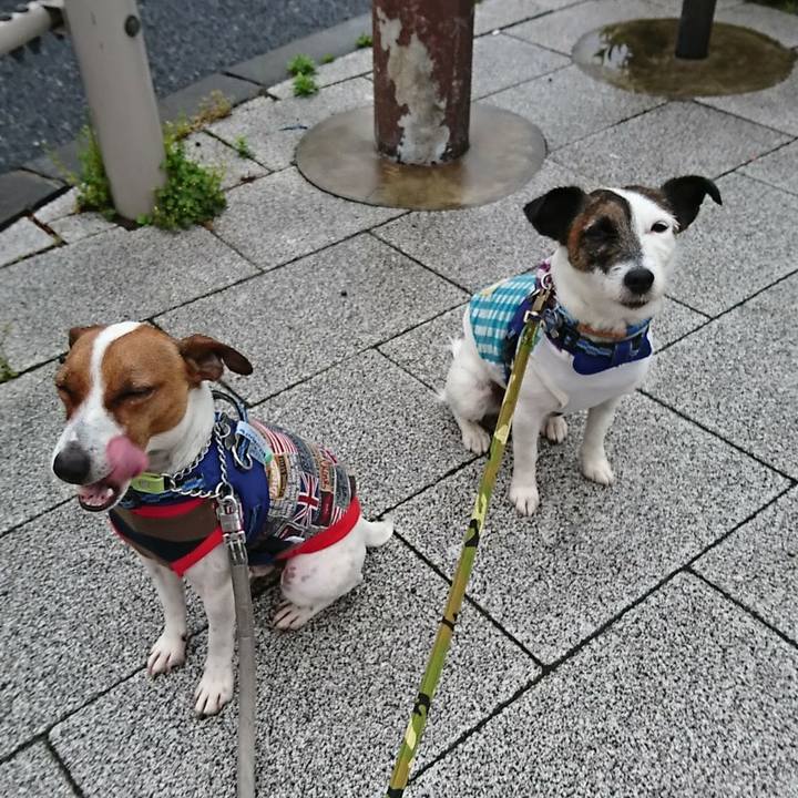 869d7623 76c7 407a 9238 73dceea04b0b 1556228856786