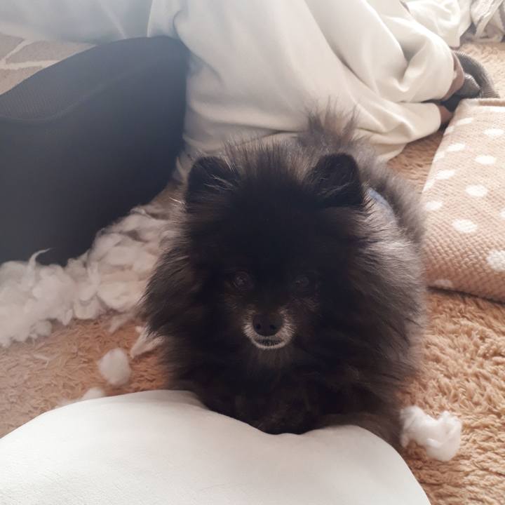 869d762b 2aab 4948 9f8f e42bc648ba2f 1548132313919