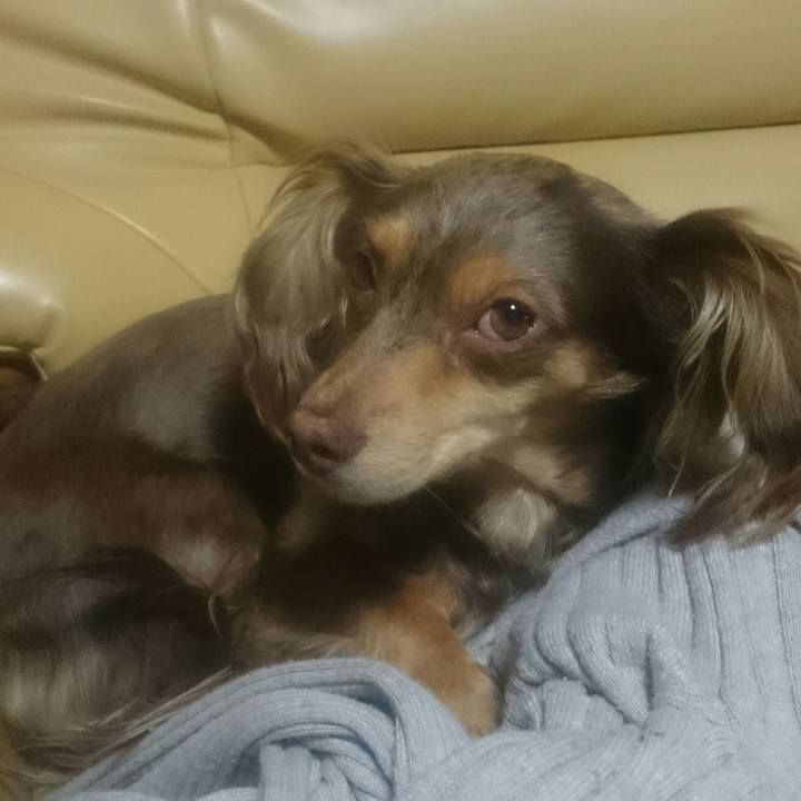 869d8d0f 7d0f 4706 bcc6 c91fcaaf8c34 1521979103166