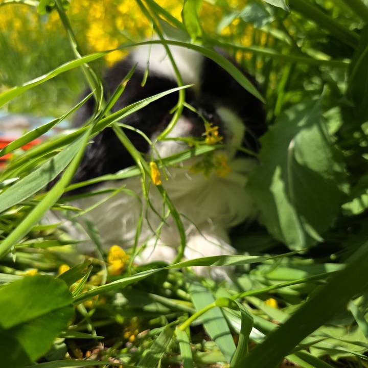 869da207 5d7f 4681 8da3 9e32250348b3 1743823951307