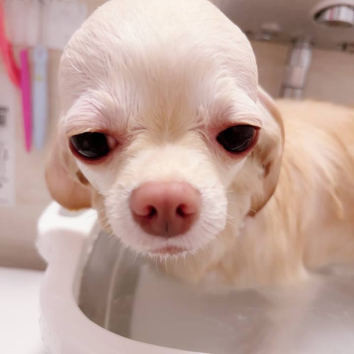 869da9cb 0447 4545 a003 2b302fc093bf 1696512840481