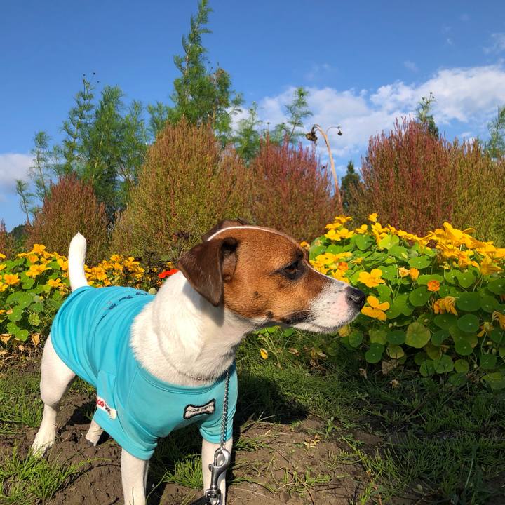 869dd4f1 518f 4740 845a fdc74e753a81 1569843006851