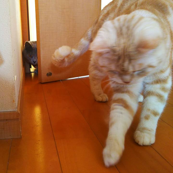 869deca7 4a4f 4b72 9d7a f3d43afcd9ef 1515458762288