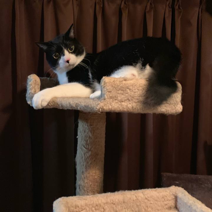 869e34f8 2f83 43fa 80e4 eb0735225e44 1545048278461