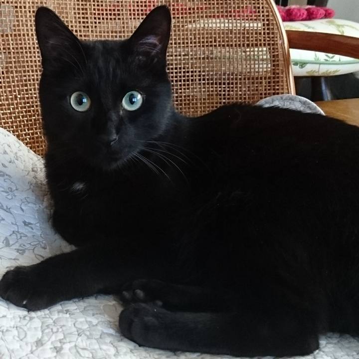 869e890c 14dd 42fe a265 65a7b2098356 1558190998576