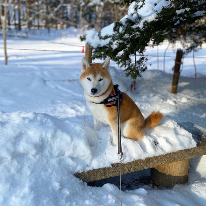 869e8937 6478 495e 8825 296e775284c4 1675730832780