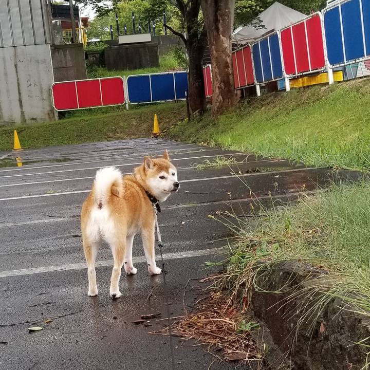 869eb4d2 8b89 4373 8b6a 44fc65200f0c 1628755039635